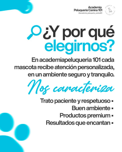 Rebranding, redes y web - Marketing
