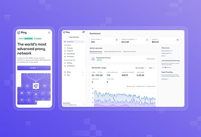 Ping Proxies – a British technological startup - Website Creation