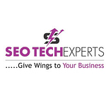 SEO Tech Experts Pvt Ltd logo