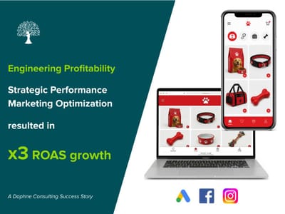 Engineering Profitability - Tripling ROI through Account Restructuring - Digitale Strategie