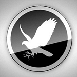 Falcontail Web Design logo