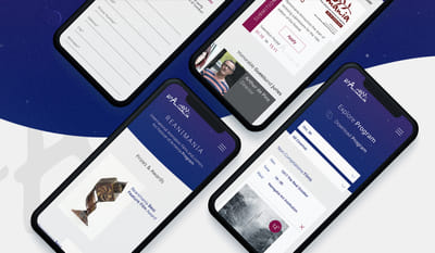 Reanimania Website Design and Development - Website Creation