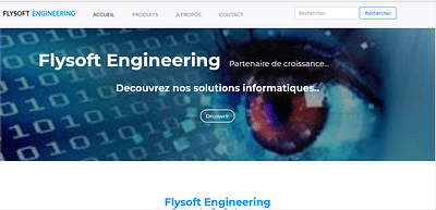 flysoft.cm - Creazione di siti web