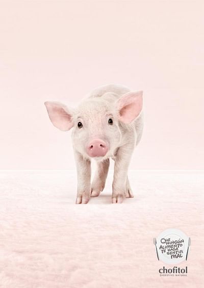 Digestivo Natural, Pig - Publicité