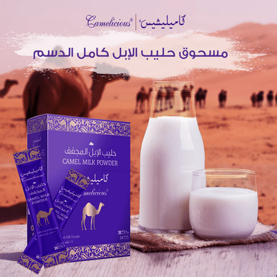 Camelicious Maghreb - Stratégie Digitale - Marketing