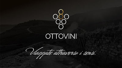 Ottovini Brand & Packaging - Online Advertising
