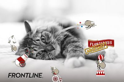 FRONTLINE – OTC KAMPAGNE AM POS APOTHEKE & DIGITAL - Markenbildung & Positionierung