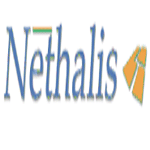 Nethalis Solutions logo