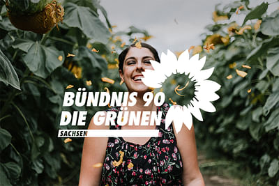 Neue Website für Bündnis 90/Die Grünen Sachsen - Grafische Identität