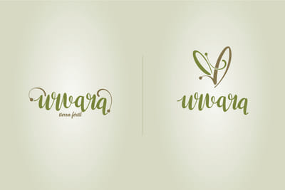 Branding Integral (Packaging + 3D +Ecommerce) - Branding y posicionamiento de marca
