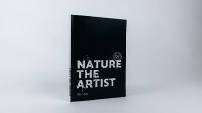 NATURE THE ARTIST | BRANDING - Branding & Positioning