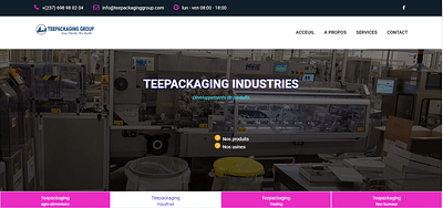 Corporate website for Teepackaging Group - Stratégie digitale