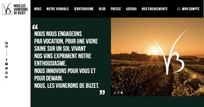 VIGNERONS DE BUZET - Branding & Positionering