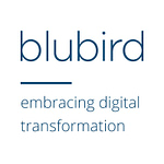 Blubird