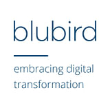 Blubird