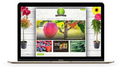 Pominova - Digital Strategy
