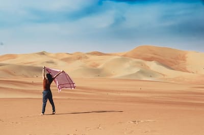 Desert Safaris Abu Dhabi | Top rated best priced Safari Operator - Eventos