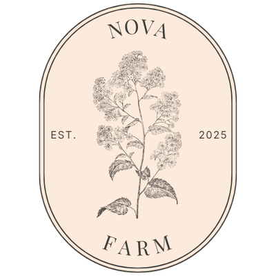 Nova Farm - Website Creation