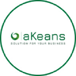 Akeans LLC - Charlotte Web Design Company
