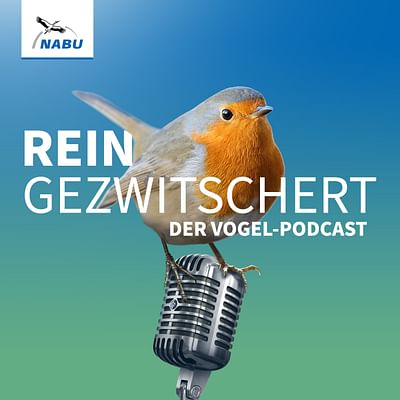 NABU Podcast - Content-Strategie