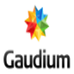 Gaudium Software