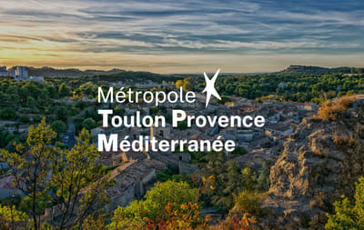 Refonte du site internet de la Métropole Toulon Provence Méditerranée - Image de marque & branding