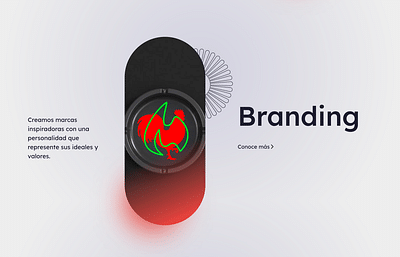 Round Branding - Webseitengestaltung