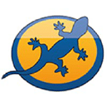Gekko Computer