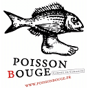 Poisson Bouge : laboratoire de contenus web dynamiques