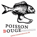 Poisson Bouge : laboratoire de contenus web dynamiques logo