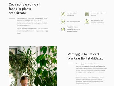 Linfadecor - SEO