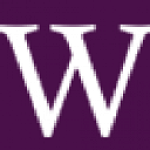 Web Designers Qatar