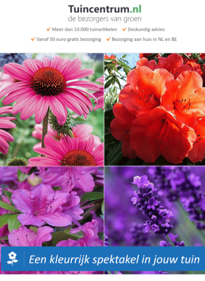 Fosby en Tuincentrum.nl - Social media