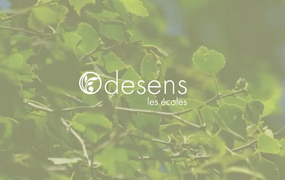 Publicité Odesens - Pubblicità online