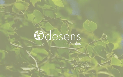 Publicité Odesens - Publicité en ligne