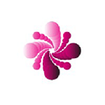 Iris Digital Marketing