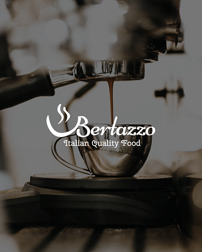 E-commerce, e-mail marketing, SEO | Bertazzo - SEO
