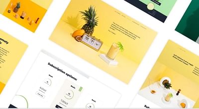 Daily Nourish UI & UX Web Development - Creazione di siti web