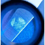 Forensic Institute