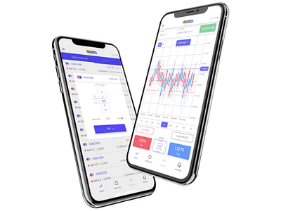 Raising funds in a highly regulated market - Datenberatung