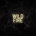 Wildfire Asia logo