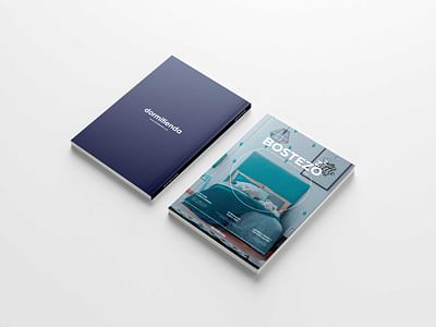 Bostezo Magazine - Grafikdesign
