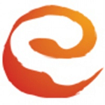 E Solutions