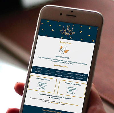 Boutique Prestashop L'Effet Canopée - Design & graphisme