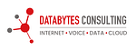 Databytes Consulting Pvt Ltd logo