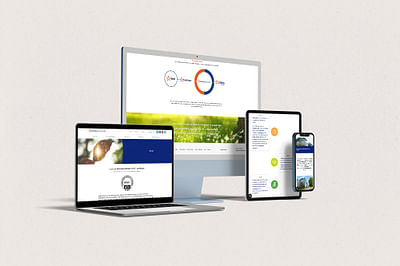 Luminus Solutions - Multilingual website - Image de marque & branding