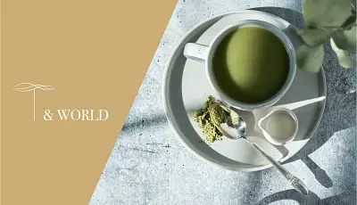 T & World | Identité visuelle & Site vitrine - Création de site internet
