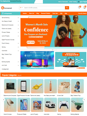 Ecommerce Website, SEO, Branding and SM - SEO