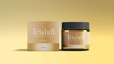 Trishul Shilajit | Branding and Packaging Design - Branding & Positioning