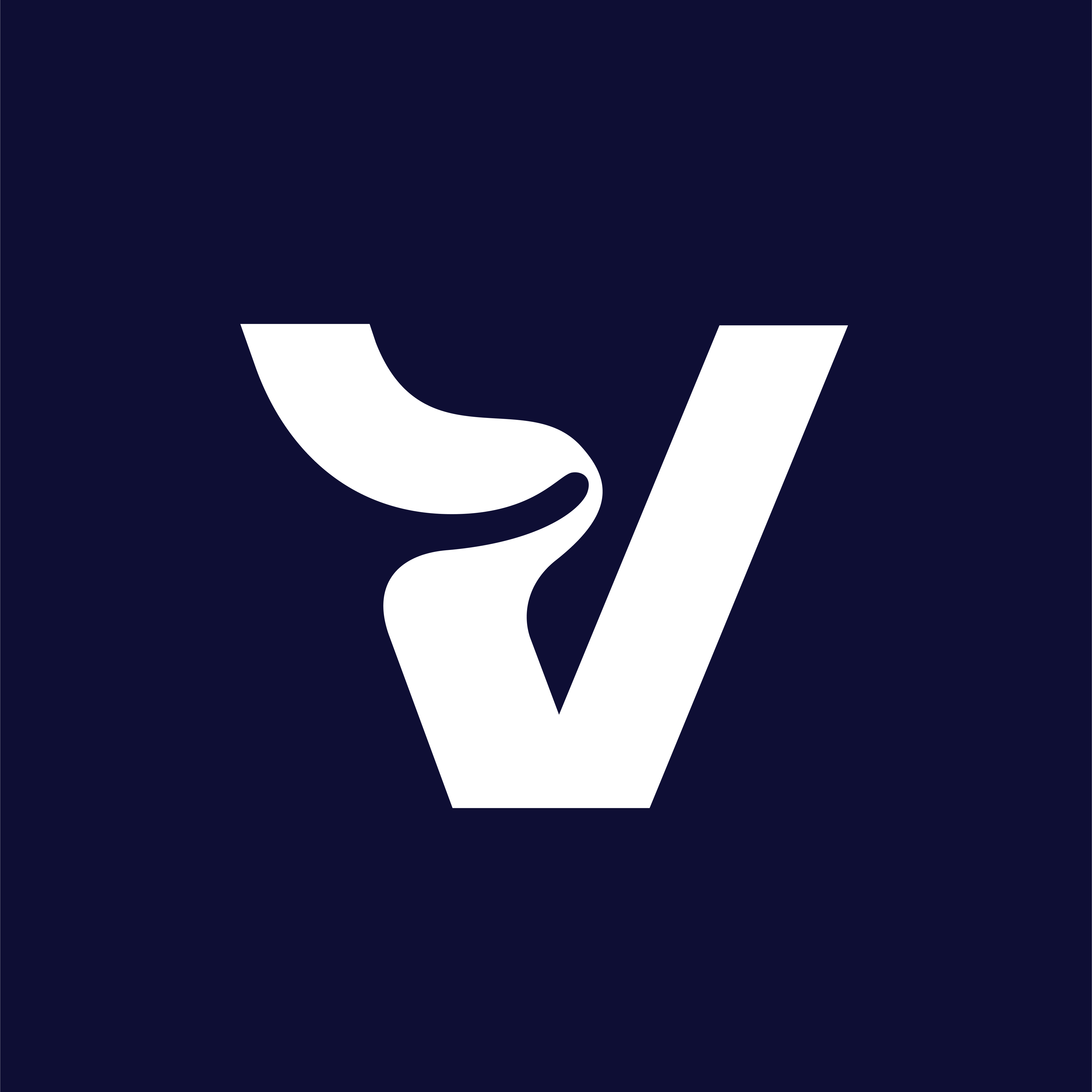 VARVISION